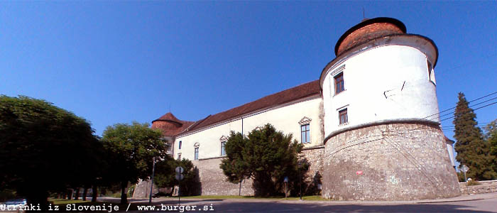 Brezice