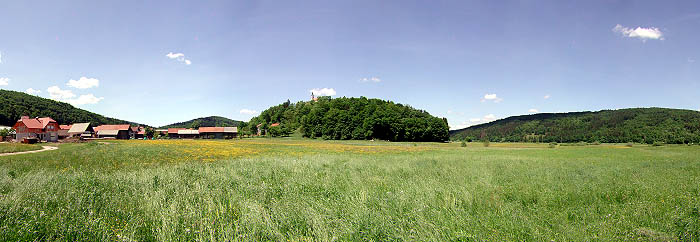 Radensko polje