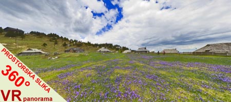 Velika planina