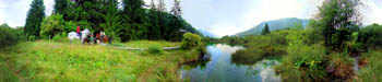Zelenci