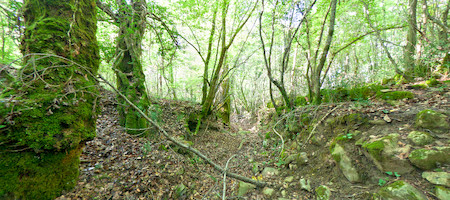 Celozaslonska prostorska slika - FULL SCREEN VR panorama