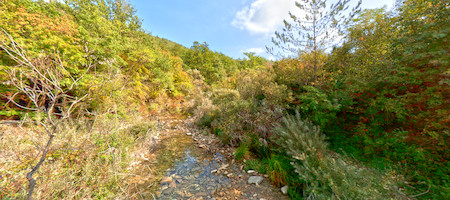 Celozaslonska prostorska slika - FULL SCREEN VR panorama