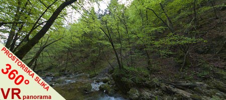 Celozaslonska prostorska slika - FULL SCREEN 360° Surround Photography