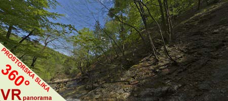 Celozaslonska prostorska slika - FULL SCREEN 360° Surround Photography