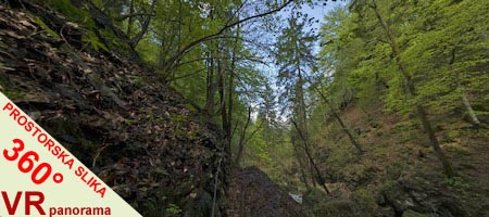 Celozaslonska prostorska slika - FULL SCREEN 360° Surround Photography