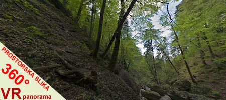 Celozaslonska prostorska slika - FULL SCREEN 360° Surround Photography