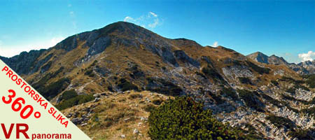 Sija