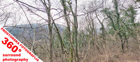 Prostorska slika :: surround photo
