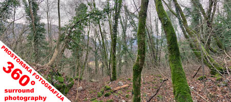 Prostorska slika :: surround photo