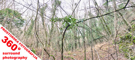 Prostorska slika :: surround photo