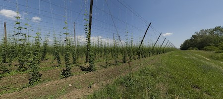 Celozaslonska prostorska slika - FULL SCREEN VR panorama