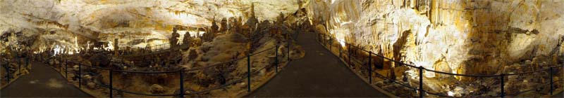 Panorama Strip