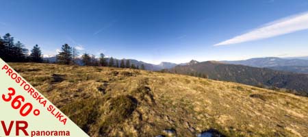 Kranjska reber