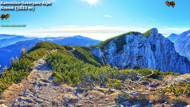 Rzenik (1833 m)