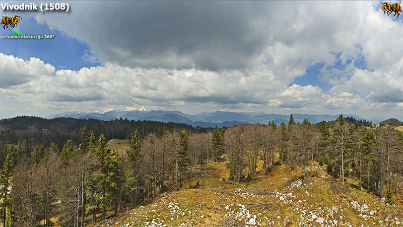 Vivodnik