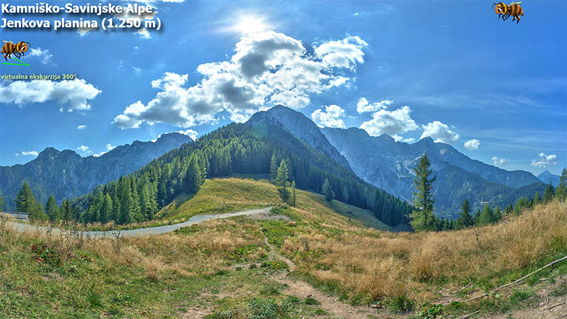 Jenkova planina
