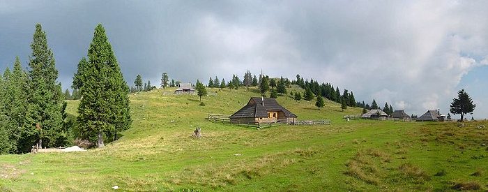 Velika planina