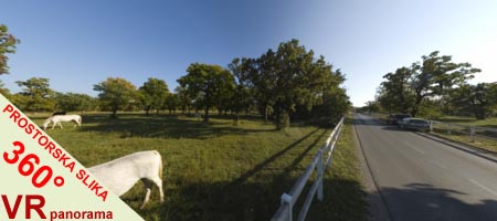 360° prostorska fotografija - 360° Surround photography