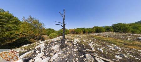 360° prostorska fotografija - 360° Surround photography