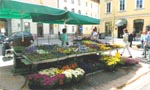 Trznica - market place (poleti)