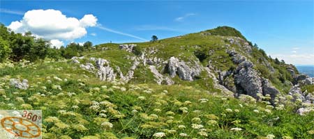 Celozaslonska prostorska slika - FULL SCREEN 360° Surround Photography